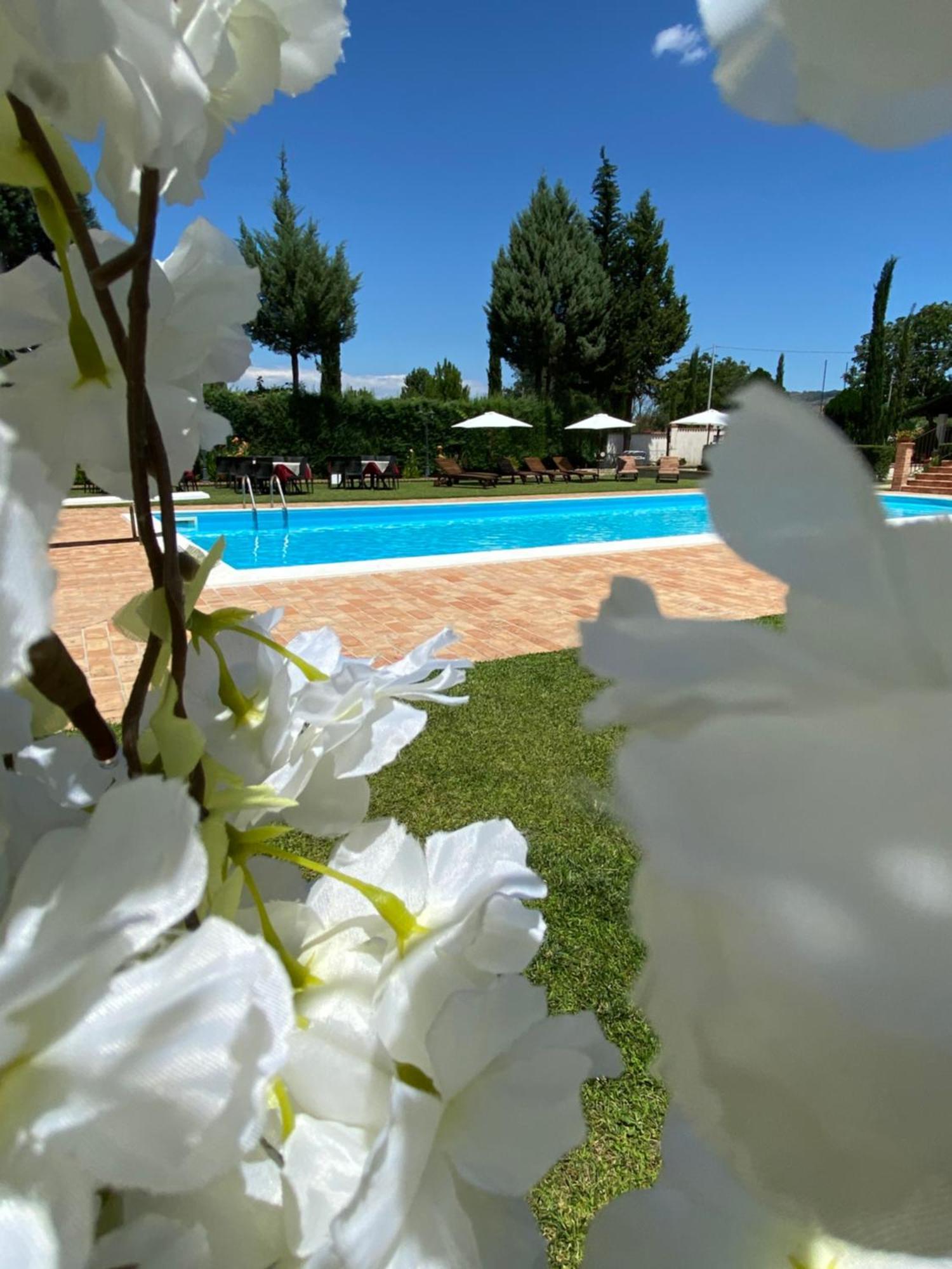 Villa Piero Bisignano Экстерьер фото